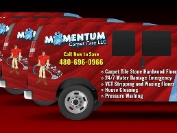 https://www.momentumcarpetcare.com/ website