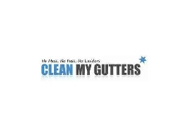 https://www.cleanmygutters.net/ website