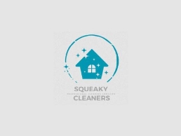 https://www.cleanersnottingham.net/ website