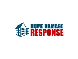 https://www.homedamageresponse.com/mold-remediation/ website