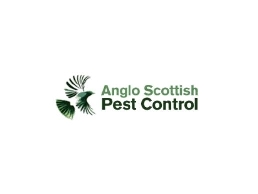 https://anglopestcontrol.scot/ website