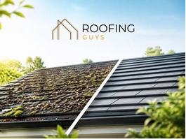 https://roofingguysperth.com.au/ website