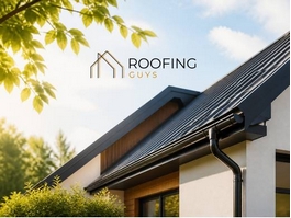 https://roofingguysgoldcoast.com.au/residential/roof-painting-gold-coast/ website