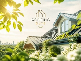 https://roofingguysbrisbane.com.au/residential/roof-painting-brisbane/ website