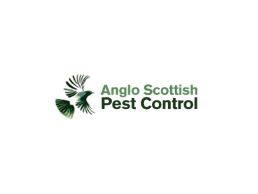 https://anglopestcontrol.scot/ website